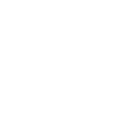 custom_website